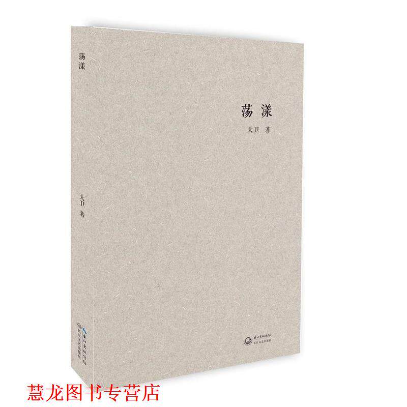 【正版书籍】 荡漾 大卫 长江文艺出版社