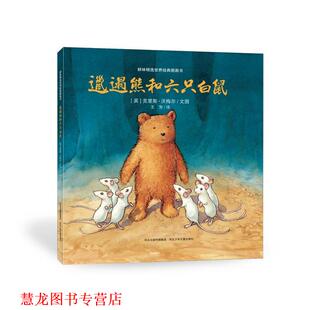 【正版书籍】 邋遢熊和六只白鼠 (英) 克里斯·沃梅尔　著,王芳　译 河北少年儿童出版社