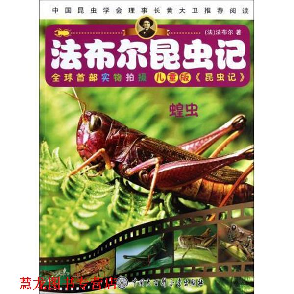 【正版书籍】 法布尔昆虫记--蝗虫 (法)法布尔 著,杨坤 改编 中国大百科全书出版社