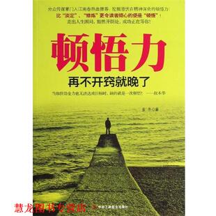 顿悟力 书籍 麦冬 著 社 中华工商联合出版 正版