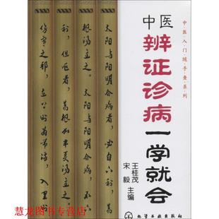 中医辨证诊病一学就会 书籍 王桂茂 宋毅 社 化学工业出版 正版