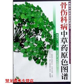 【正版书籍】 骨伤科病中草药原色图谱 黄燮才 著 广西科学技术出版社
