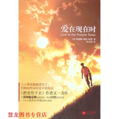 【正版书籍】 爱在现在时 (美)海德　著,何守源　译 江苏文艺出版社