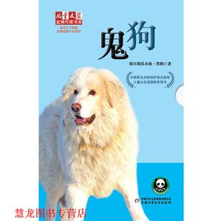 儿童文学作家书系 自然之子黑鹤经典 中国少年儿童出版 正版 社 格日勒其木格·黑鹤 书籍 鬼狗 动物小说系列