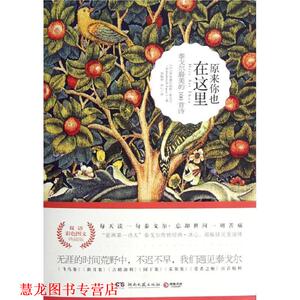 【正版书籍】 原来你也在这里 Rabindranath Tagore 湖南文艺出版社