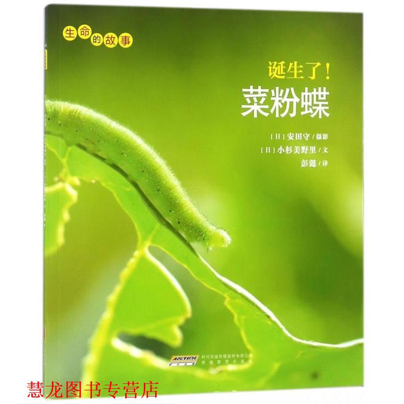 【正版书籍】 诞生了菜粉蝶 [日]小杉美野里,彭懿 安徽教育出版社