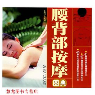 腰背部按摩图典 书籍 薛永阁 主编 社 化学工业出版 正版