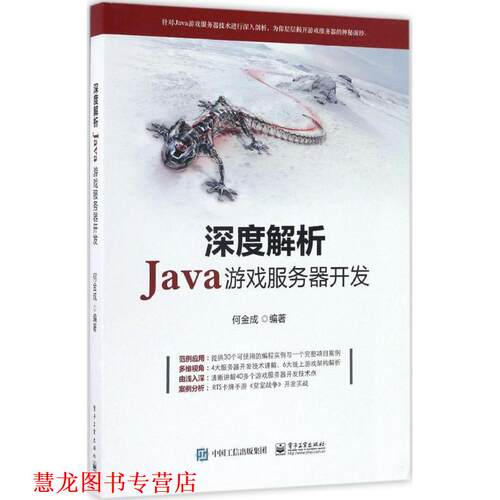 【正版书籍】 深度解析Java游戏服务器开发 何金成 著 电子工业出版社