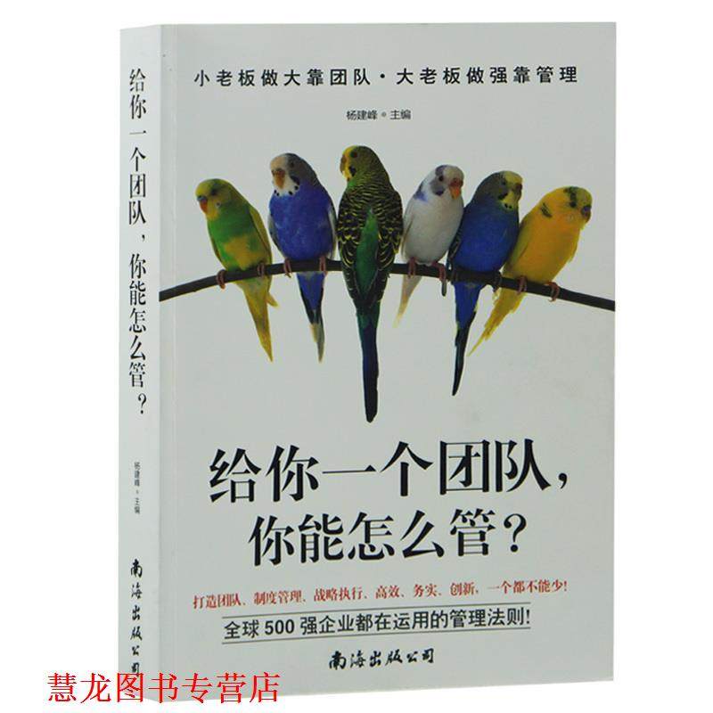 【正版书籍】 给你一个团队,你能怎么管 杨建峰 主编 南海出版公司