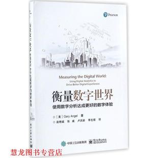使用数字分析达成更好 Gary 正版 衡量数字世界 等译 社 赵艳斌 数字体验 书籍 加里.安杰尔 Angel 美 电子工业出版 著