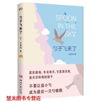 【正版书籍】 勺子飞来了 王春鸣 湖南文艺出版社