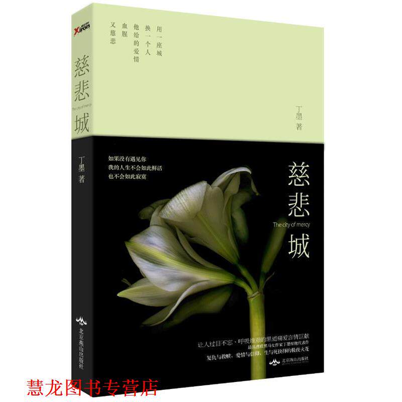 【正版书籍】 慈悲城 丁墨 北京燕山出版社