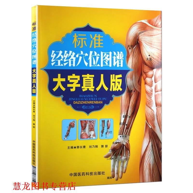 【正版书籍】 标准经络穴位图谱 郭长青,刘乃刚,郭妍 主编 中国医药科技出版社