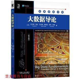 Buhler 社 大数据导论 Wajid Khattak Erl 书籍 Thomas 机械工业出版 Paul 正版