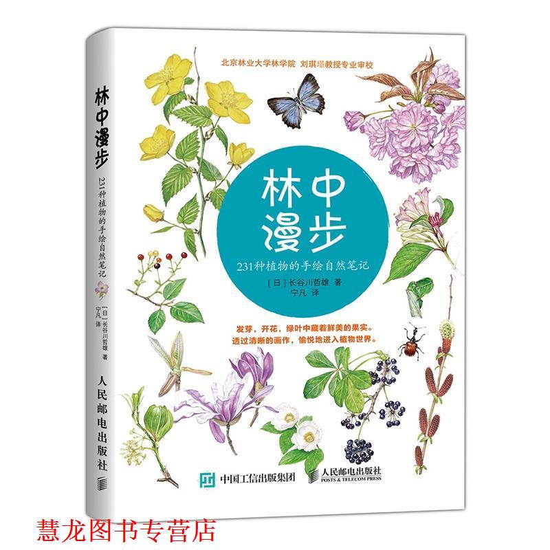 【正版书籍】 林中漫步-231种植物的手绘自然笔记 长谷川哲雄 人民邮电出版社
