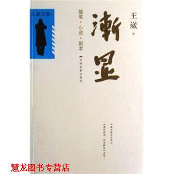 【正版书籍】 渐现 王崴 著 中国电影出版社
