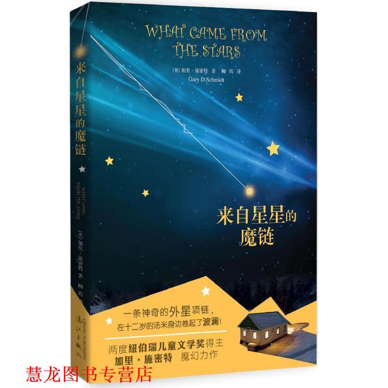 【正版书籍】 来自星星的魔链 (美) 加里施密特,柳筠 漓江出版社