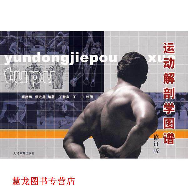 【正版书籍】 运动解剖学图谱 顾德明,缪进昌　编著,丁誉声,丁山　绘图 人民体育出版社