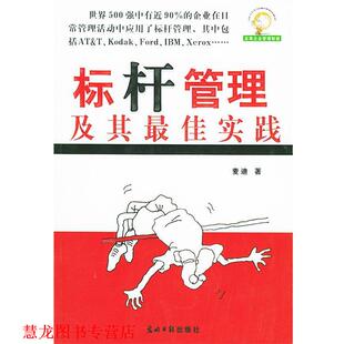 标杆管理及其实践 书籍 麦迪 著 社 光明日报出版 正版