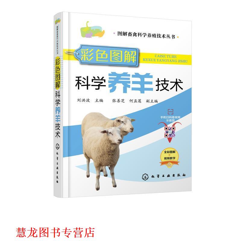 【正版书籍】 彩色图解科学养羊技术 刘洪波 著 化学工业出版社有限公司
