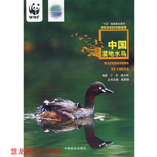 【正版书籍】 中国湿地水鸟 丁平,陈水华 编著 中国林业出版社