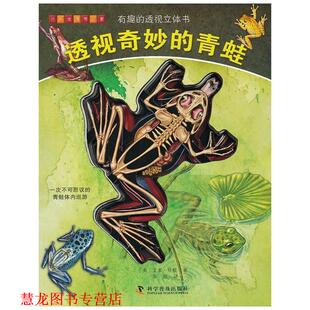 【正版书籍】 有趣的透视立体书--透视奇妙的青蛙 (英)贝根 科学普及出版社