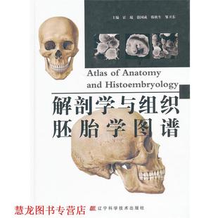 【正版书籍】 解剖学与组织胚胎学图谱 霍琨,徐国成,韩秋生 等主编 辽宁科学技术出版社