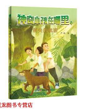 【正版书籍】 神奇小孩在哪里-消失的航班 严钰 著 明天出版社