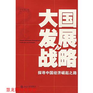 大国发展战略 探寻中国经济崛起之路 李稻葵 北京大学出版 书籍 著 社 正版