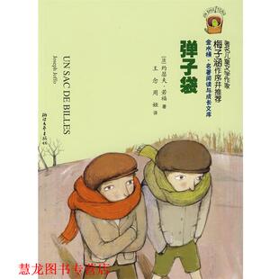 【正版书籍】 弹子袋 (法)约瑟夫·若福 ,王念,周娅 浙江文艺出版社