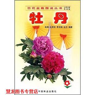【正版书籍】 牡丹 袁涛,赵孝知,李丰刚 中国林业出版社