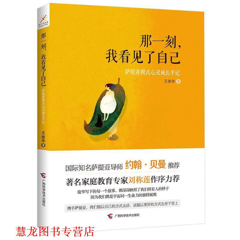 【正版书籍】 那一刻,我看见了自己:萨提亚模式心灵成长手记 王俊华 广西科学技术出版社