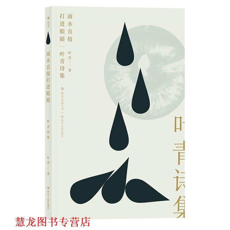 【正版书籍】 雨水直接打进眼睛:叶青诗集 叶青 四川人民出版社