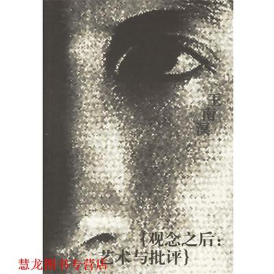 【正版书籍】 观念之后:艺术与批评 王南溟 著 湖南美术出版社