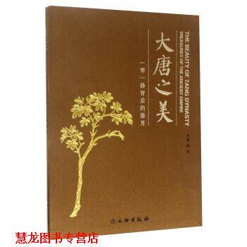 【正版书籍】 大唐之美:一带一路背后的器用 阎焰 编 文物出版社