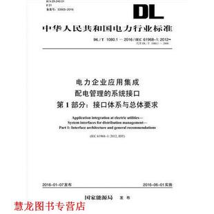 1080.1 正版 中國電力出版 代替 接口體系與總體要求 國家能源局 社 書籍 2016