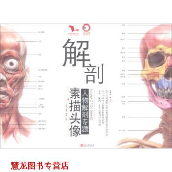 【正版书籍】 解剖：素描头像 我有我一套系列丛书 叶虎,孙建 燕山大学出版社