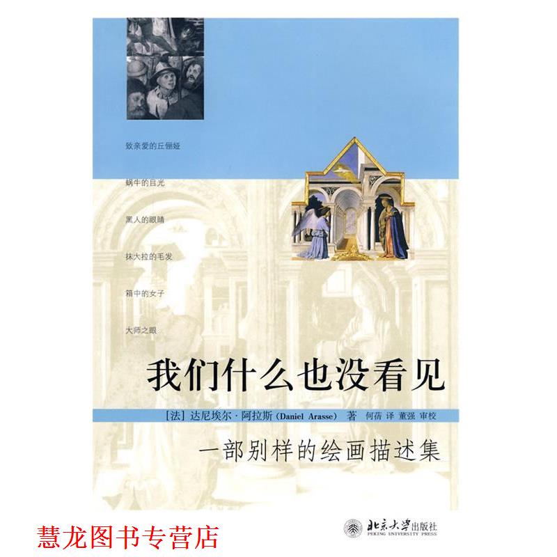 【正版书籍】 我们什么也没看见:一部别样的绘画描述集 [法]达尼埃尔·阿拉斯(Daniel Arasse) 著,何蒨　译,董强　审校 北京大学出
