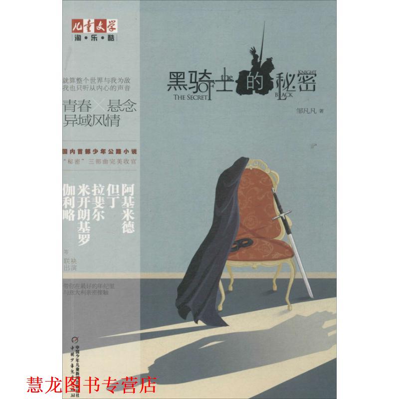 【正版书籍】 儿童文学淘乐酷--黑骑士的秘密 邹凡凡 著 中国少年儿童出版社