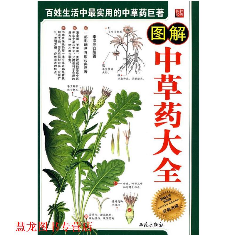 【正版书籍】 图解中草药大全 李泽亮　编著