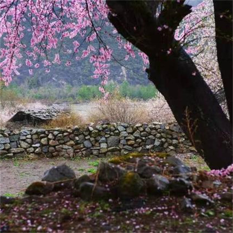 桃木棍棒原木宝宝孕妇老人随身客厅卧室圆雕怀旧复古护身东南桃枝