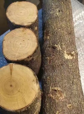 天然桃木送礼家居装饰品原木装饰摆件圆形木段乔迁