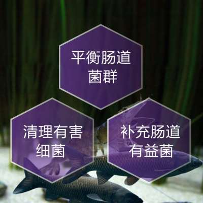 维诺复合益生菌兽用饲料添加剂畜禽水产鱼虾补充有益菌群利于消化