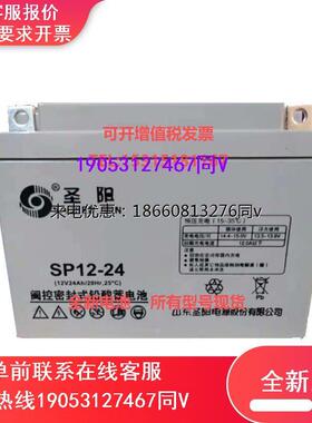 蓄电池12V24AH/SP12-24FR消防主机EPS/UPS电源直流屏电梯照明
