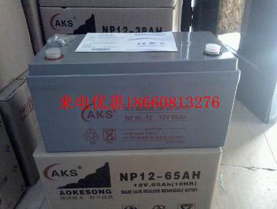 蓄电池NP65-12 12V65AH铅酸免维护UPS/EPS应急电源