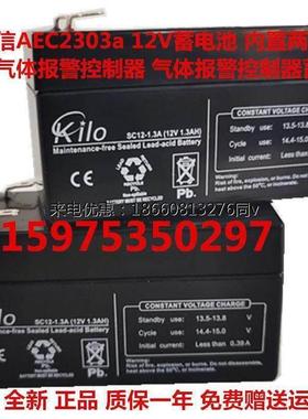 AEC2303a 可燃气体报警控制器 气体报警控制器电池蓄电池