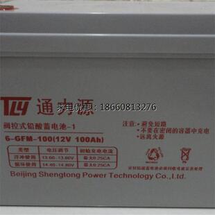 储能型 100 交通信号应急电源 GFM TONGLIYUAN通力源蓄电池6
