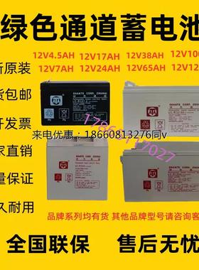 绿色通道蓄电池LC-R1224/12V24A4.5A7.2A17A38A65A100A120A直流屏