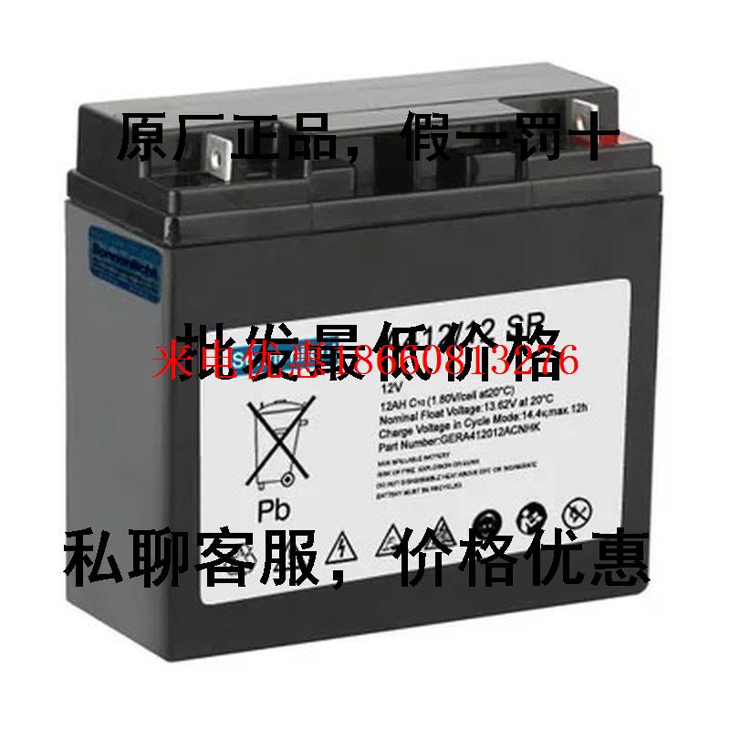 埃克塞德 进口阳光A412/12SR纯胶体 电源机房/医疗设备专用蓄电池