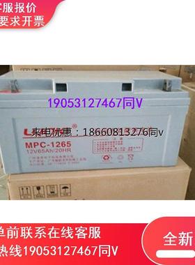LUOKI洛奇蓄电池MPC65-12铅酸12V65AH直流屏UPS电源消防用电瓶